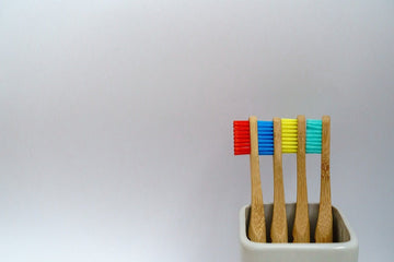 A Complete History of Toothbrushes: A Journey to Brighter Smiles - XODENT