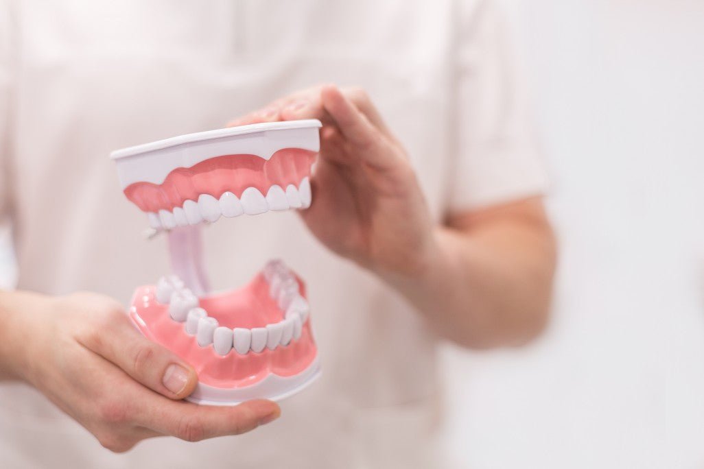 The Most Surprising Facts About Dentures That You Will Love - XODENT